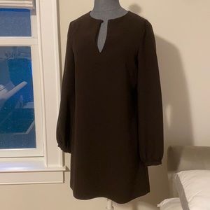 Zara Chocolate brown shift dress